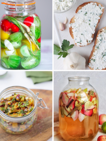 e-book “Magic of Fermentation”